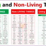 Living and Non Living Things in English
