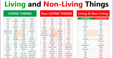 Living and Non Living Things in English