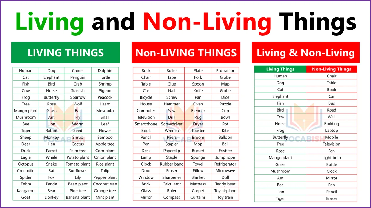 Living and Non Living Things in English