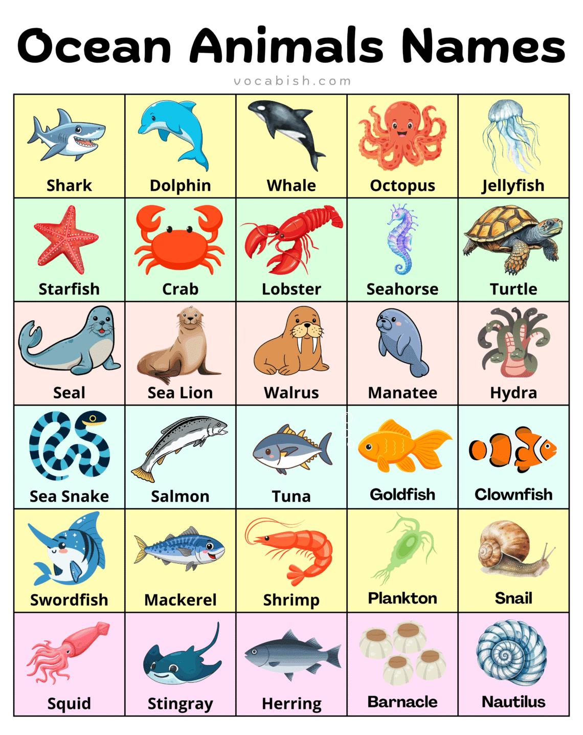 100 Ocean Animals Names In English With Pictures Vocabish One For All 100 Ocean Animals Names In English With Pictures Vocabish One For All