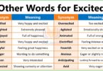 Other Words for Excited