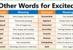 Other Words for Excited