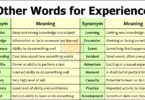 Other Words for Experience