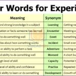 Other Words for Experience