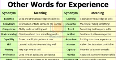 Other Words for Experience