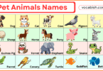 Pet Animals Names