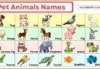 Pet Animals Names