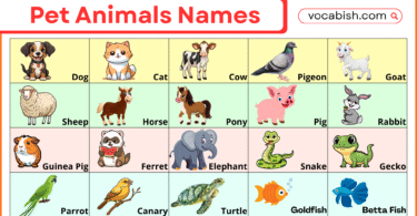 Pet Animals Names