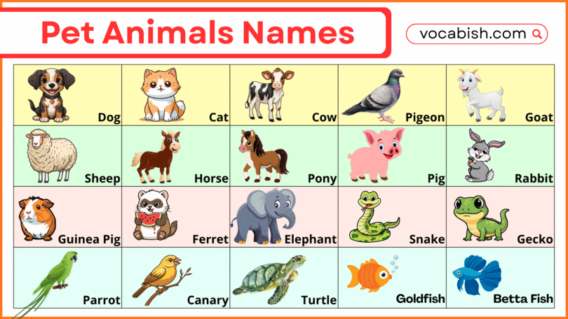 Pet Animals Names