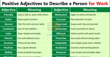 Positive Adjectives to Describe a Person for Work in English