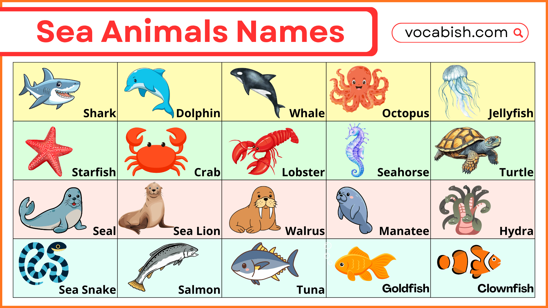 Sea Animals Names List with Pictures