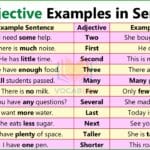 Adjective Examples Sentences