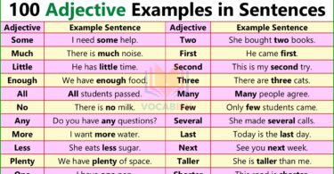Adjective Examples Sentences