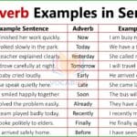 Adverb Example Sentences in English