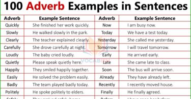 Adverb Example Sentences in English