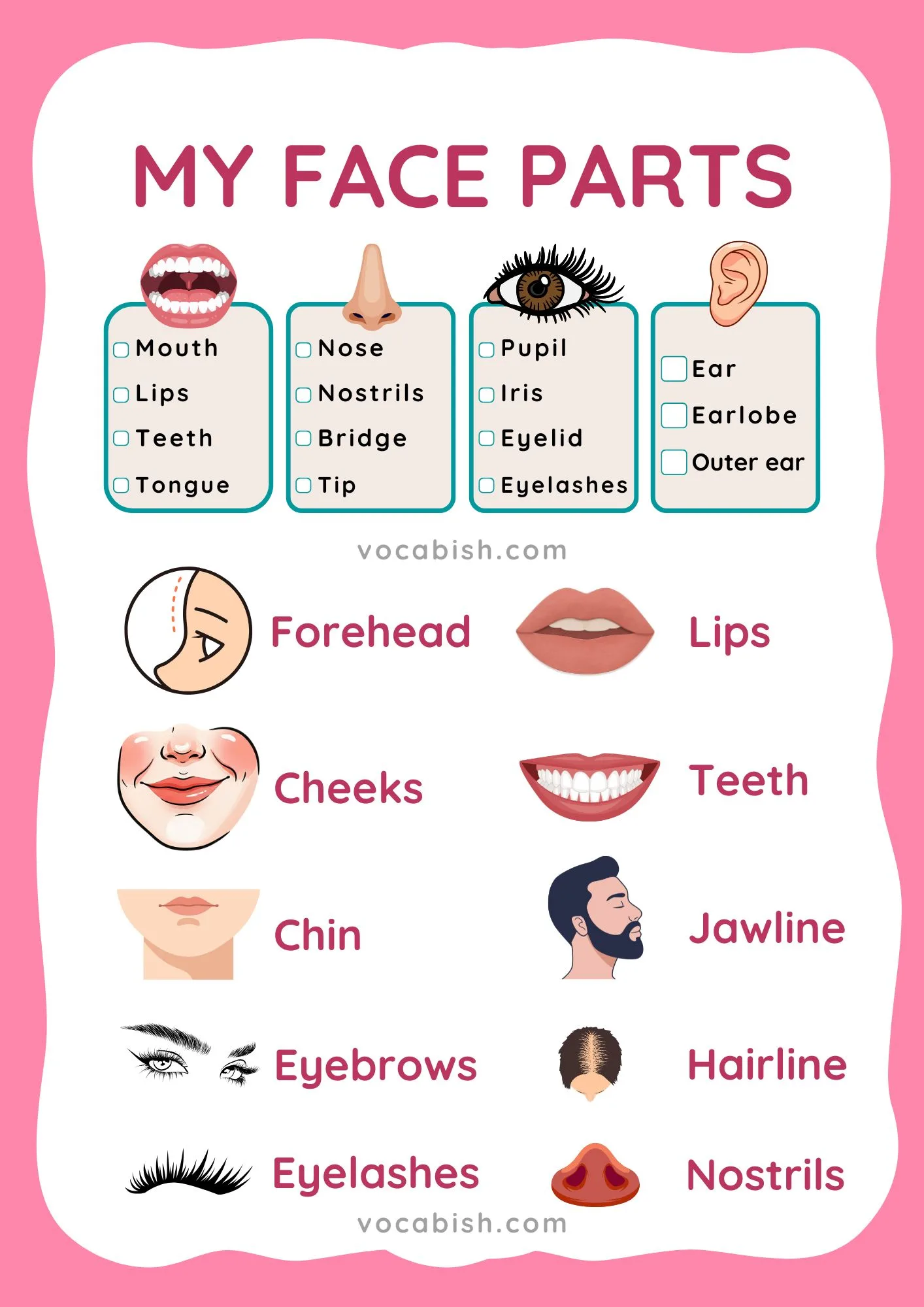 Face Parts Name with Pictures