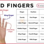 Hand Finger Names