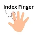 Index Finger
