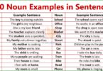 Noun Examples Sentences with PDF