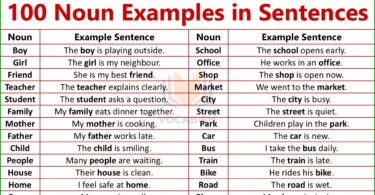 Noun Examples Sentences with PDF
