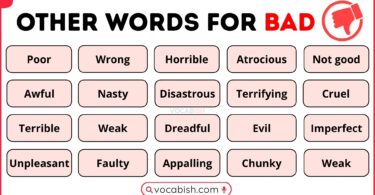 Other Words for Bad in English