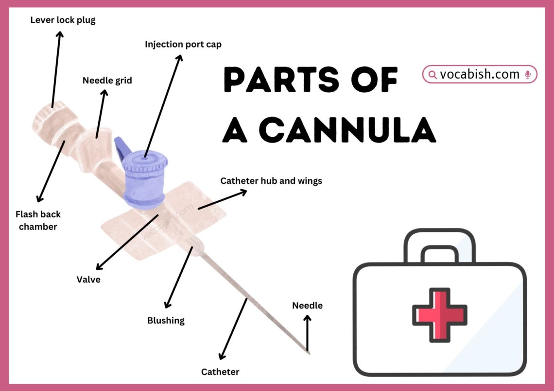 Parts of a Cannula with Diagram