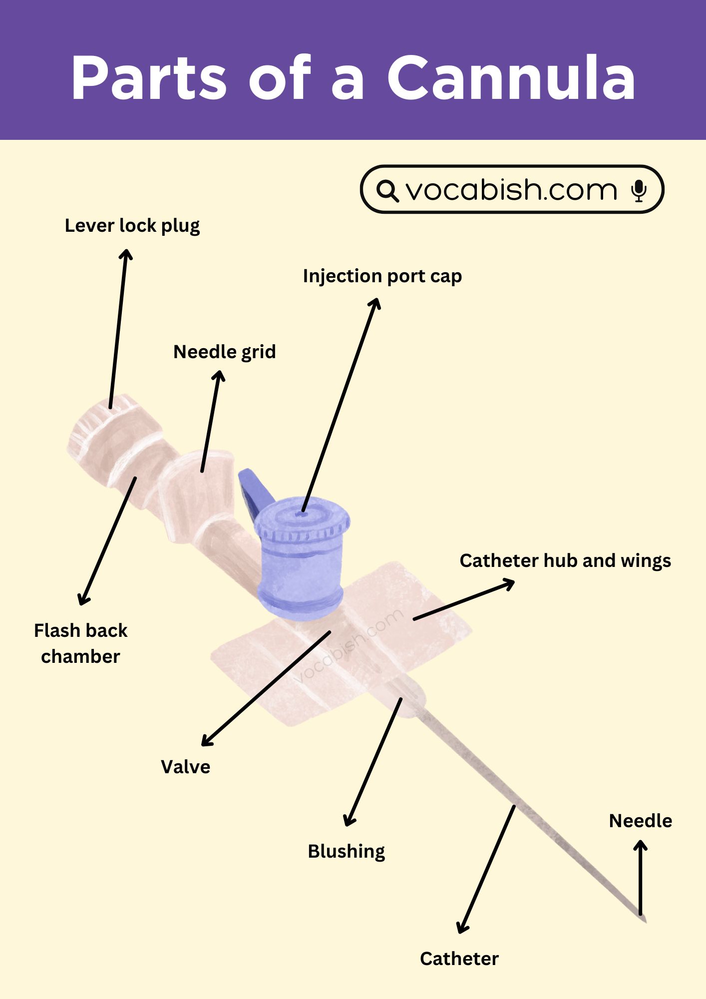 Parts of a Cannula and Diagram
