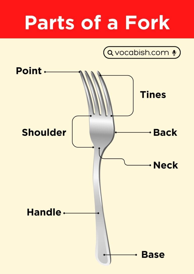 Parts of a Fork: Their Names and Functions with Diagram | Vocabish