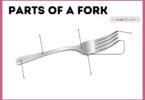 Simple diagram showing the parts of a fork and their names in easy English.