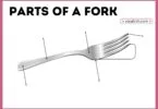 Simple diagram showing the parts of a fork and their names in easy English.