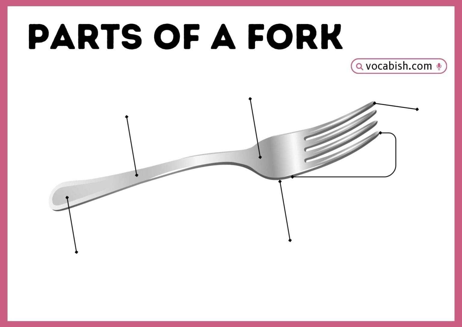 Parts of a Fork from Handle to Tines with Diagram | Vocabish