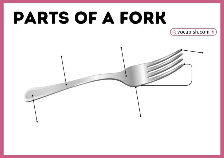 Simple diagram showing the parts of a fork and their names in easy English.