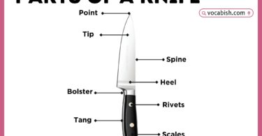 Parts of a Knife with Diagram