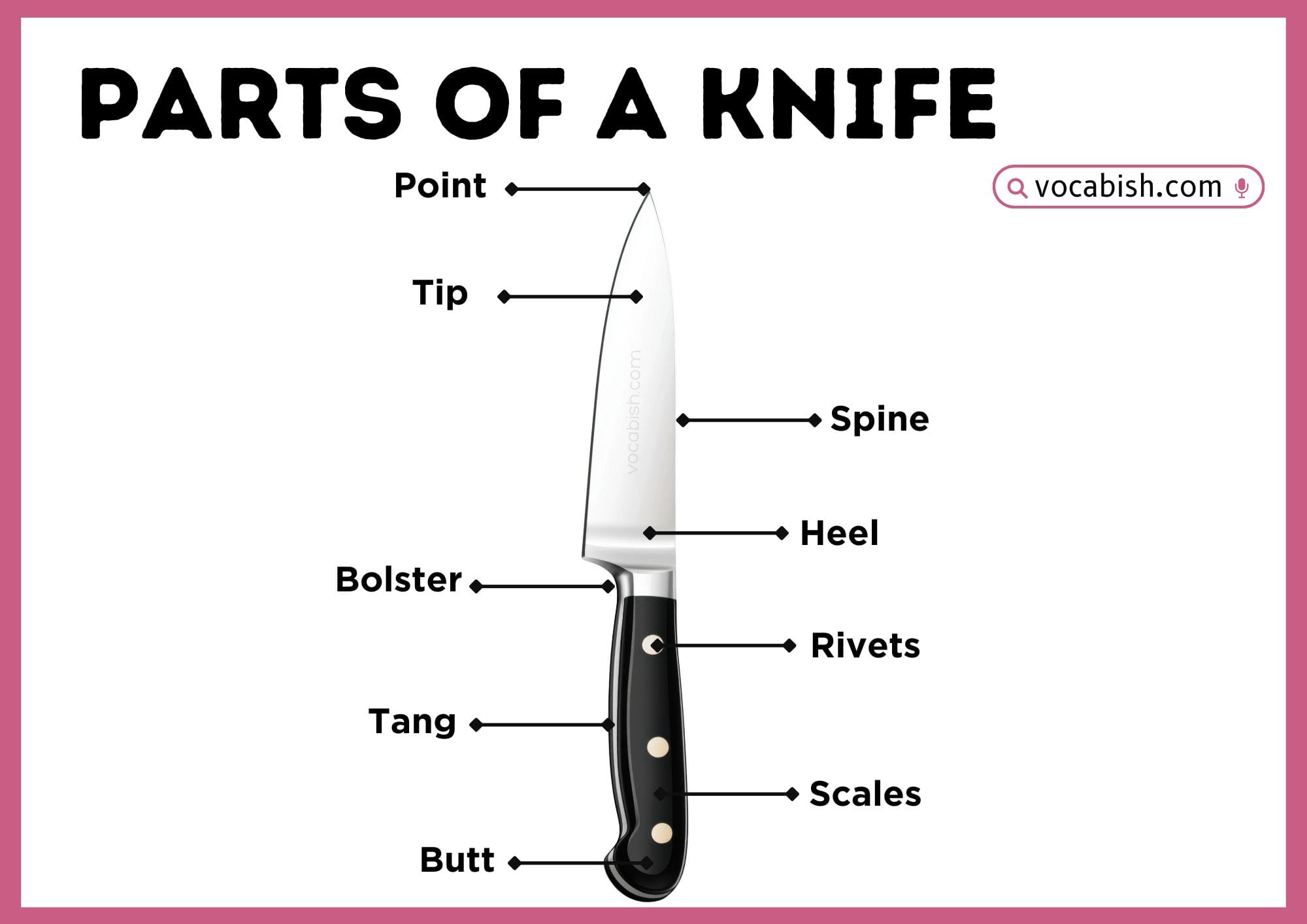 Parts of a Knife with Diagram