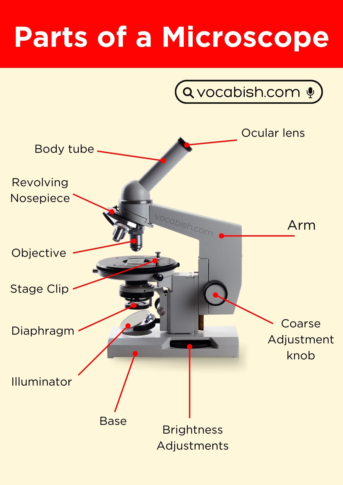 Parts of a Microscope with Diagram