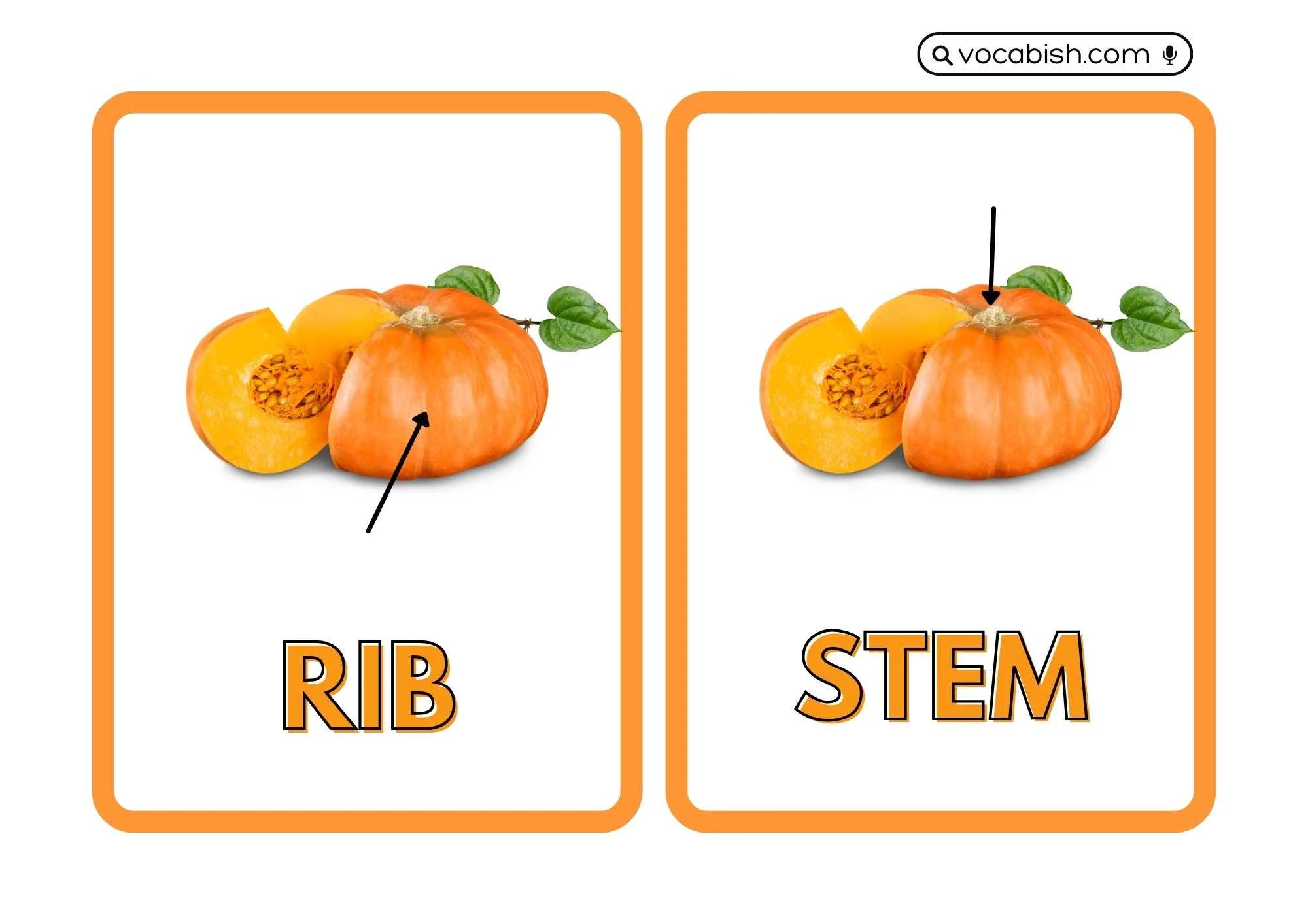 Parts of a Pumpkin PDF