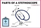 Parts of a Stethoscope with Diagram