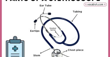 Parts of a Stethoscope with Diagram