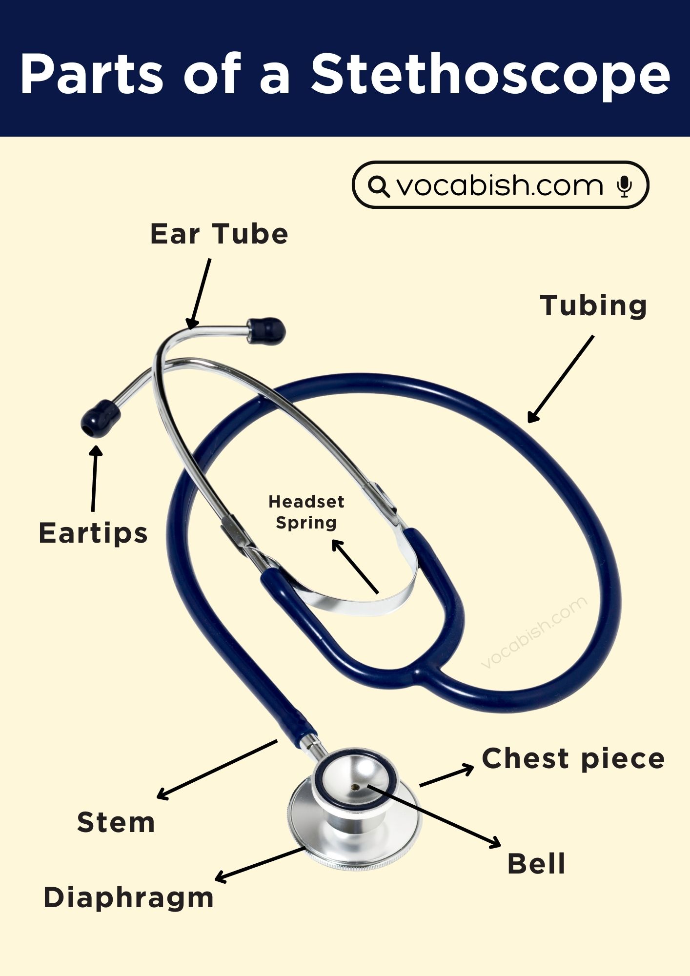 Parts of a Stethoscope and Diagram
