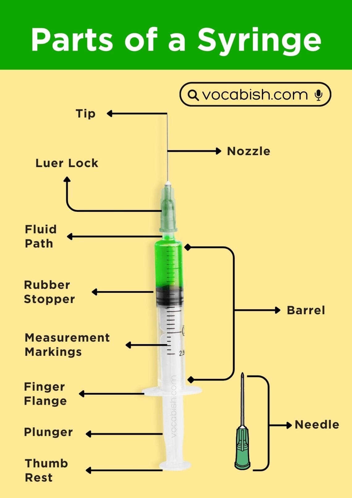 Learn The Different Parts Of A Syringe And Their Uses Vocabish Learn The Different Parts Of A Syringe And Their Uses Vocabish