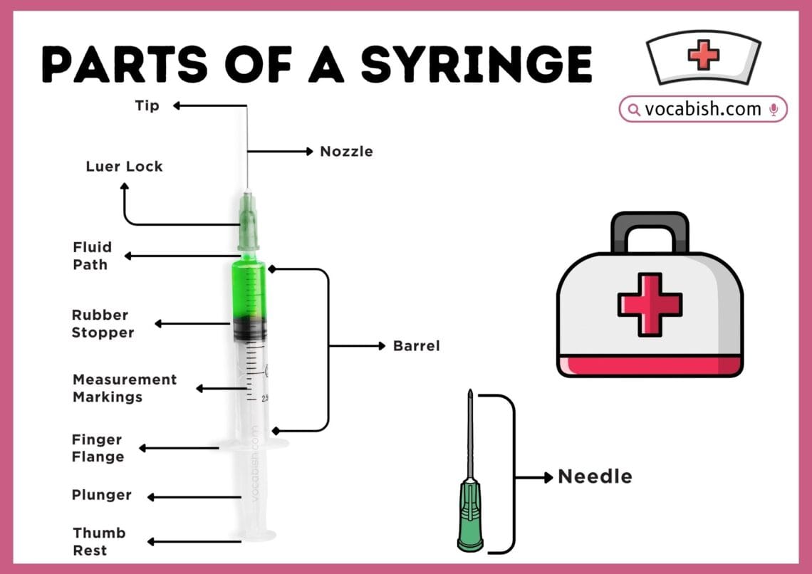 Parts of a Syringe: Their Functions and Diagram | Vocabish