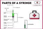Parts of a Syringe with Diagram