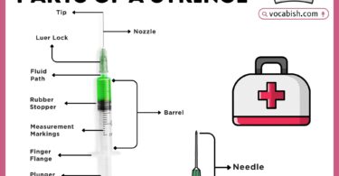 Parts of a Syringe with Diagram