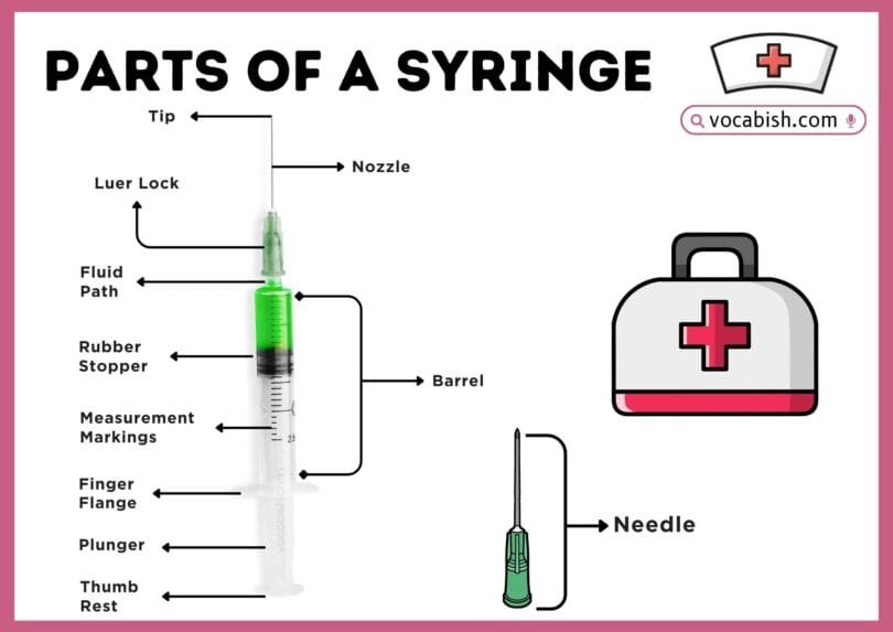 Parts of a Syringe with Diagram