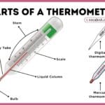 An educational diagram labeling the bulb, stem, capillary bore, and scale of a standard thermometer.