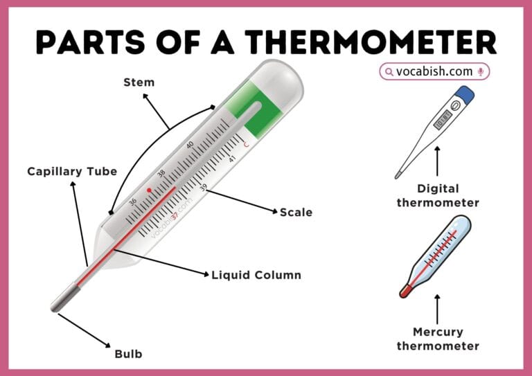 An educational diagram labeling the bulb, stem, capillary bore, and scale of a standard thermometer.