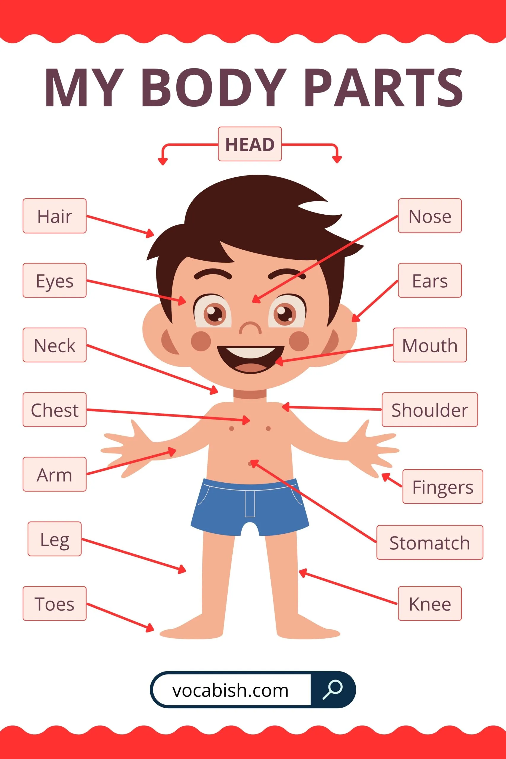 Parts of the Body for Kids