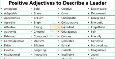 Positive Adjectives for a Leader