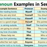 Pronoun Example Sentences