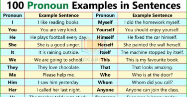 Pronoun Example Sentences